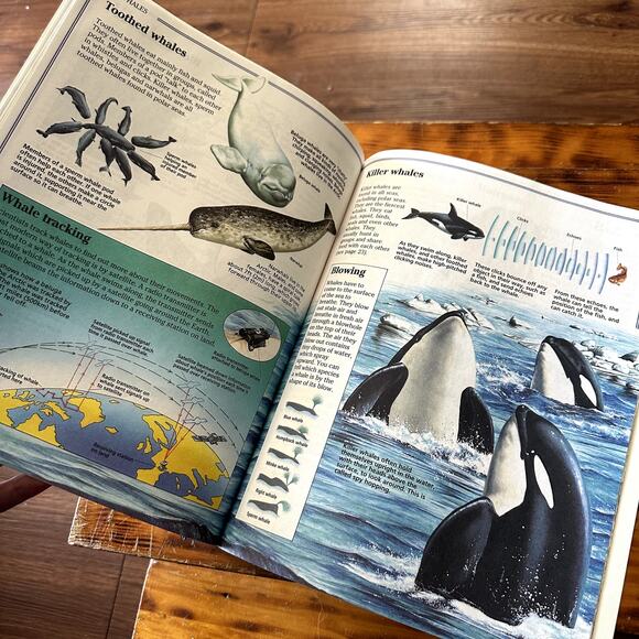 Vintage 1994 Usborne World Wildlife Polar Wildlife Paperback Book - Picture 5 of 7